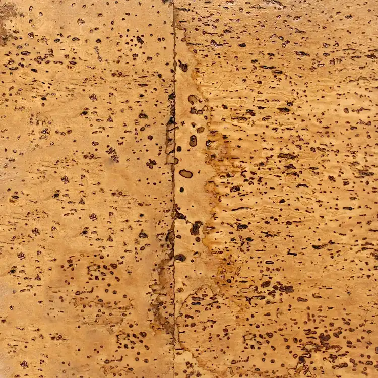 cork flooring eco friendly